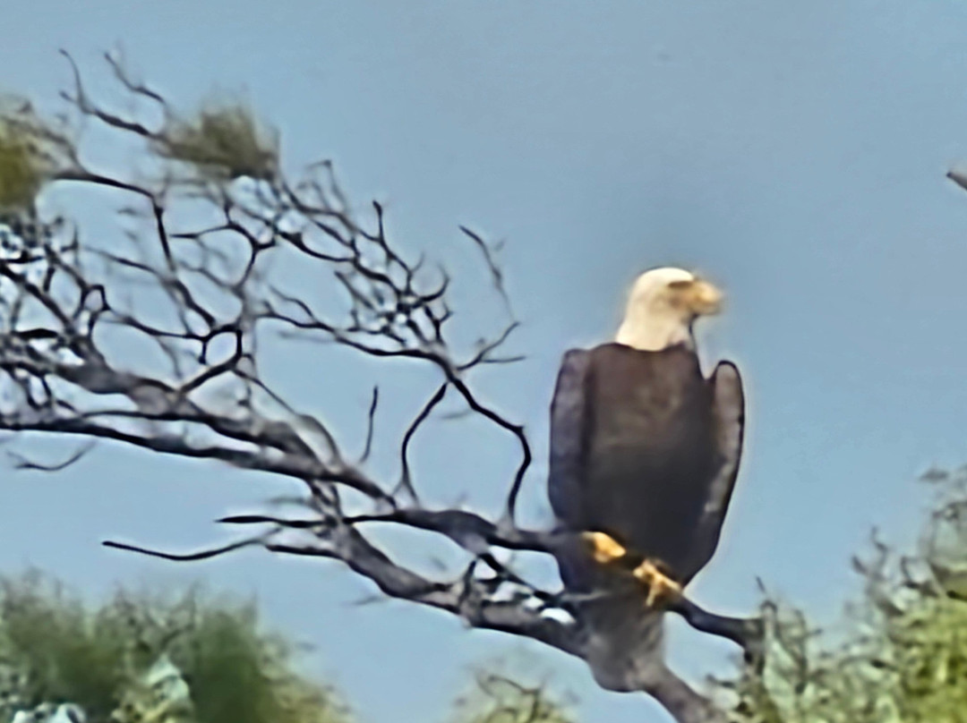 Assateague Adventure-大洋城必去景点
