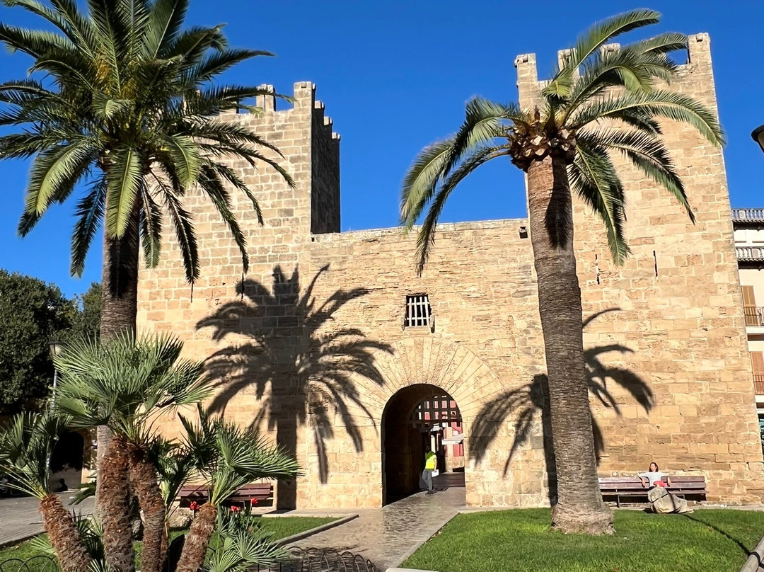 Murada Medieval D'alcúdia-阿库迪亚必去景点