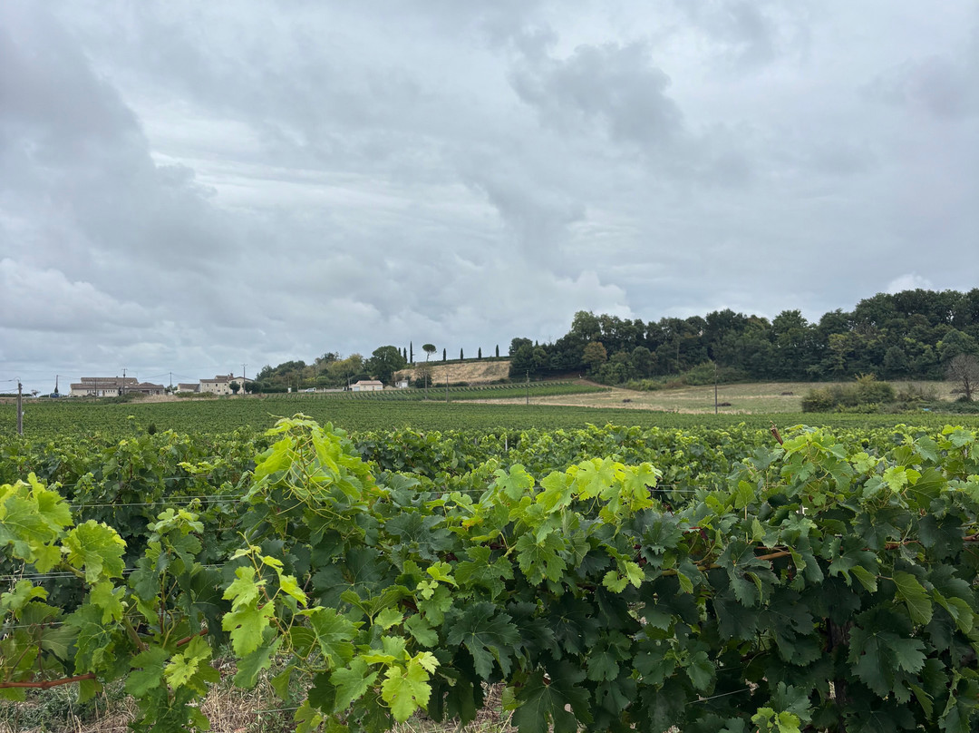 Château George 7-Saillans必去景点