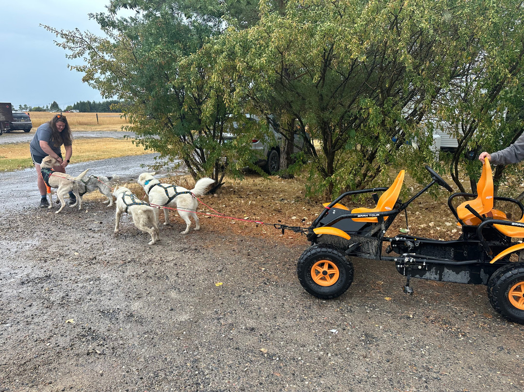 Call of the WYld Dogsled Tours-提顿村必去景点