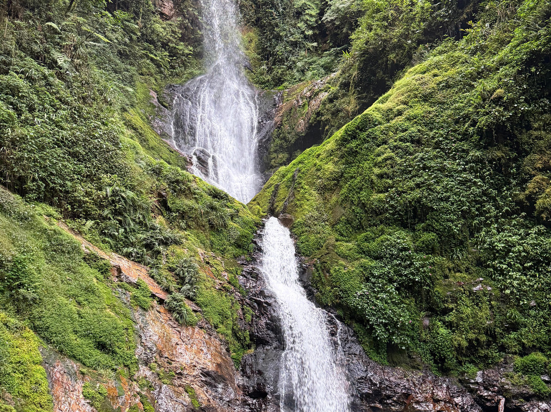 Nyungwe National Park - Rwanda-Western Province必去景点