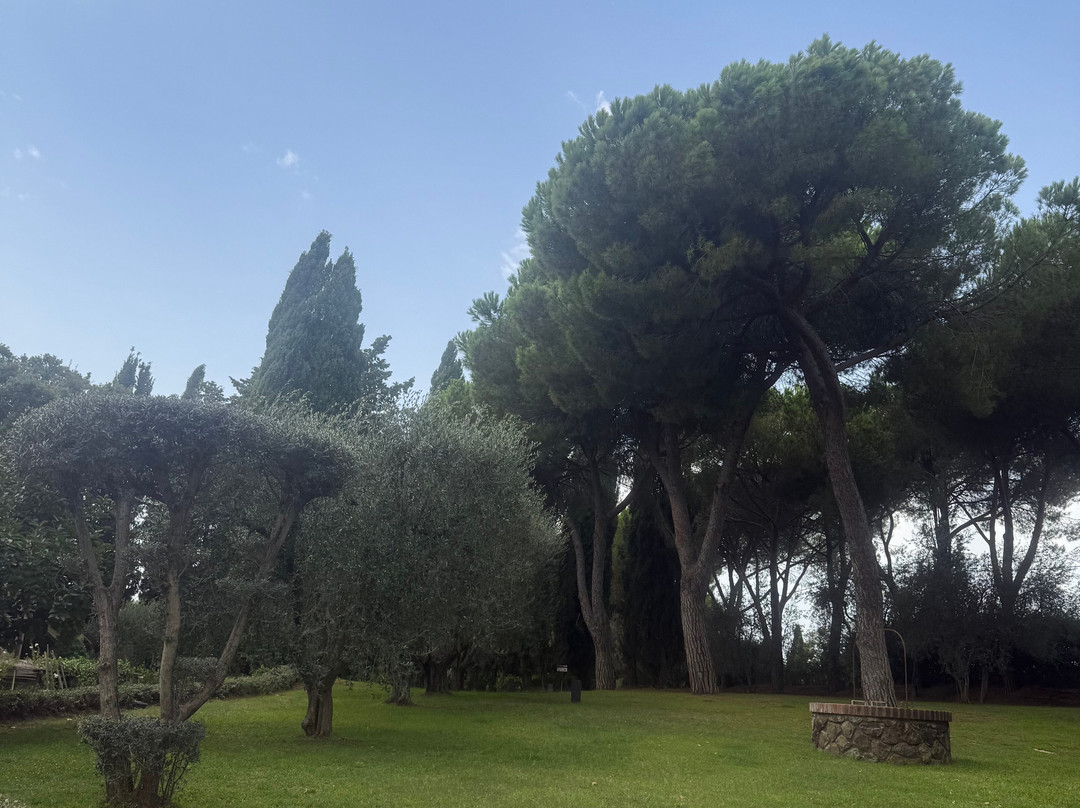 Fattoria Di  Magliano主图
