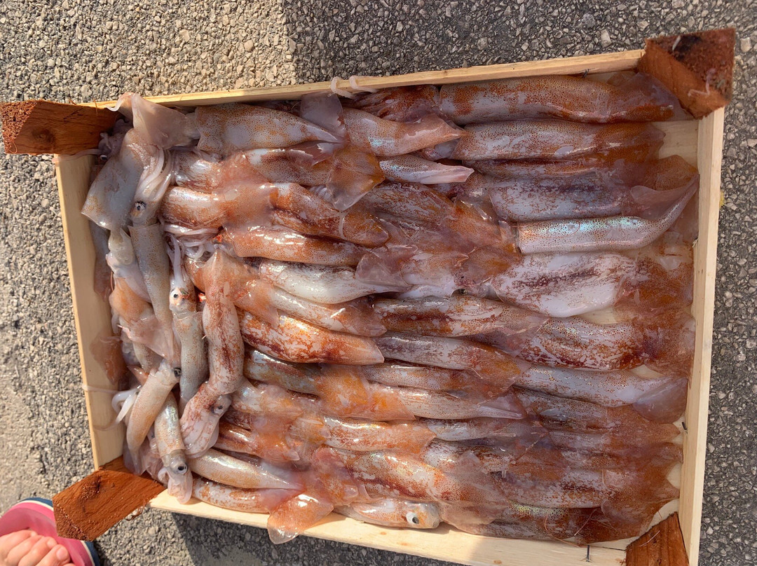 Mercato del Pesce-Sciacca必去景点