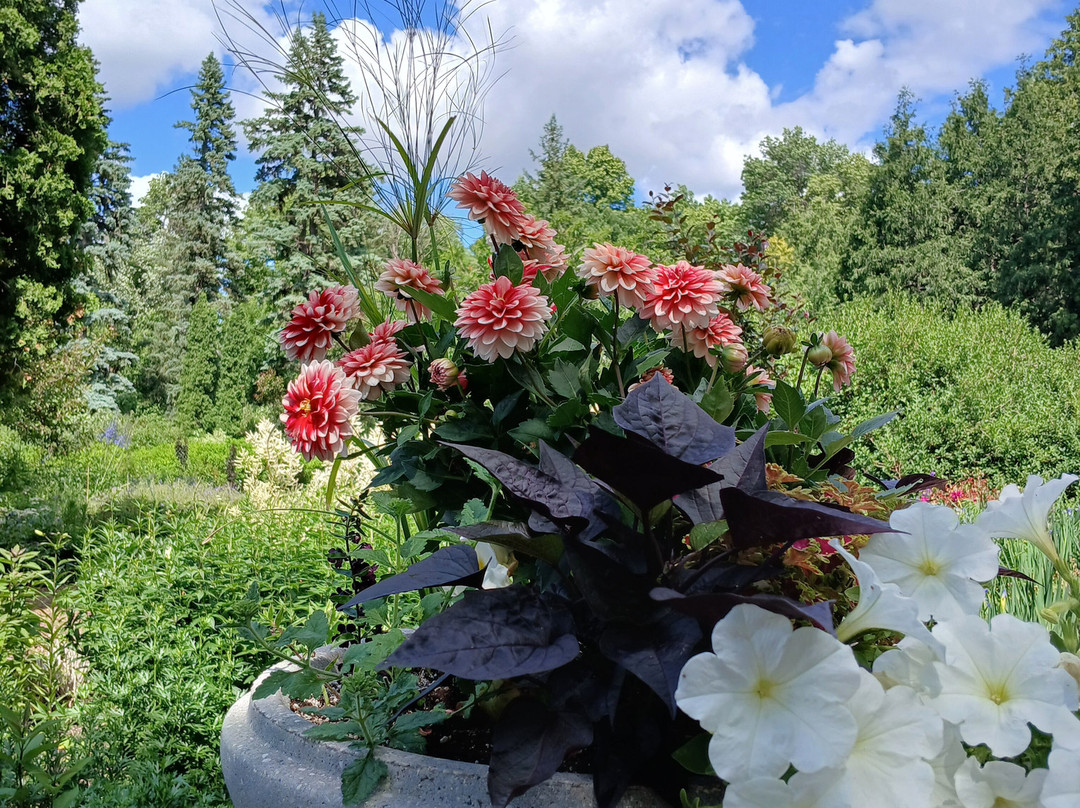 English Garden-温尼伯必去景点