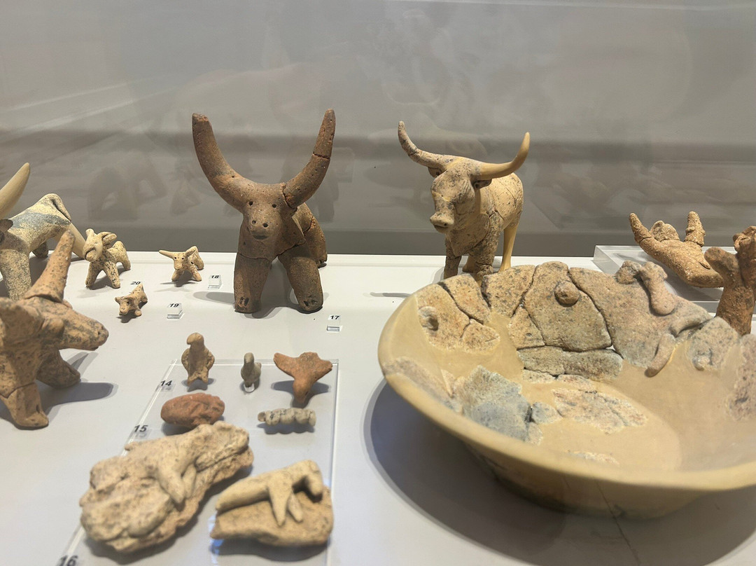 Archaeological Museum of Rethymno-雷斯蒙必去景点