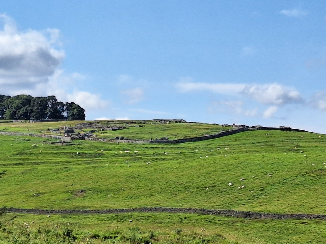 Housesteads Roman Fort - Hadrian's Wall-Haydon Bridge必去景点