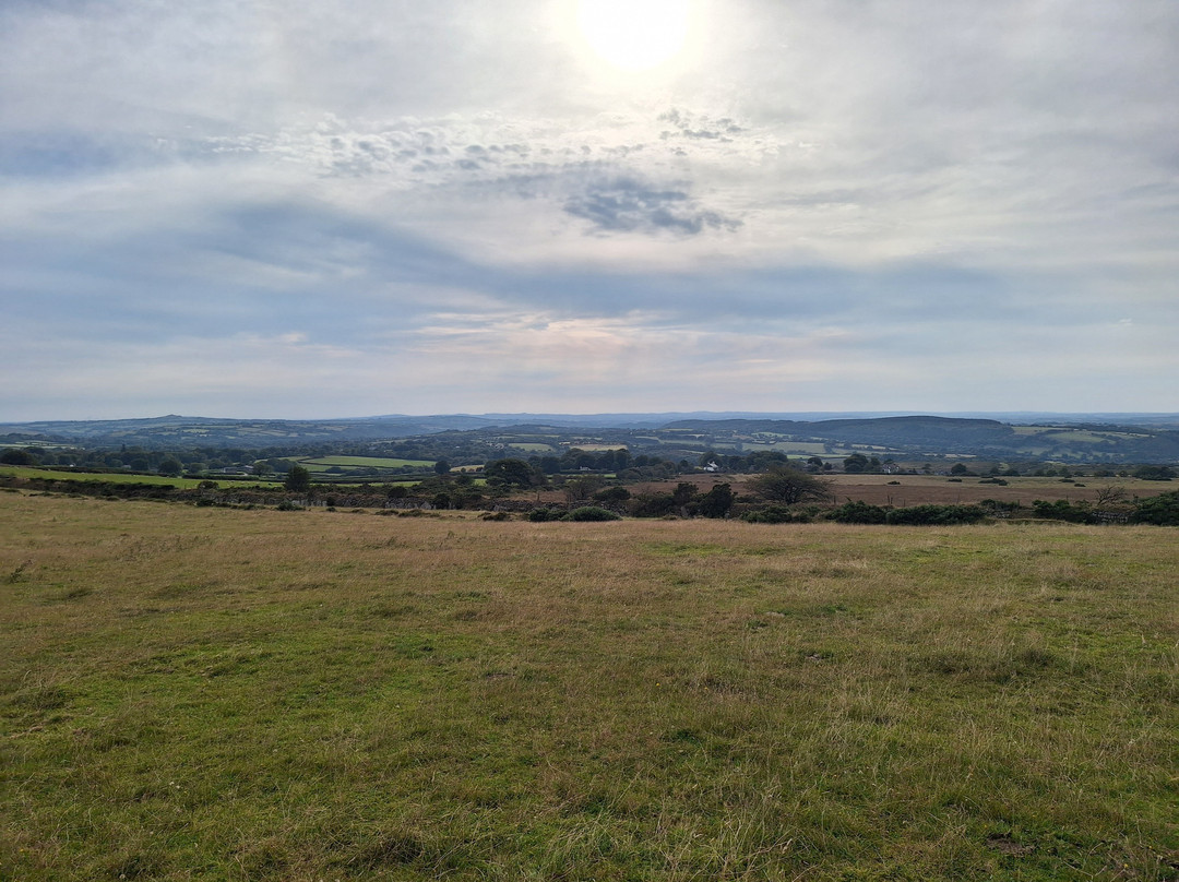 狐狸与猎犬酒店主图