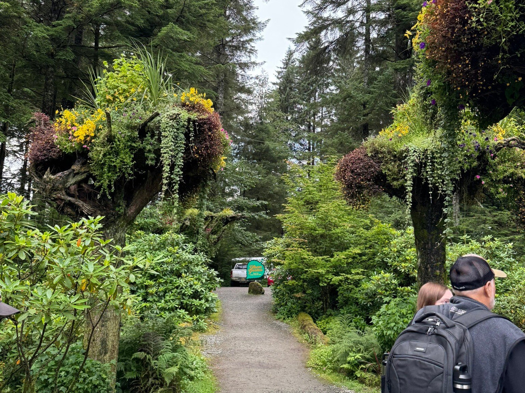 Glacier Gardens Rainforest Adventure-朱诺必去景点