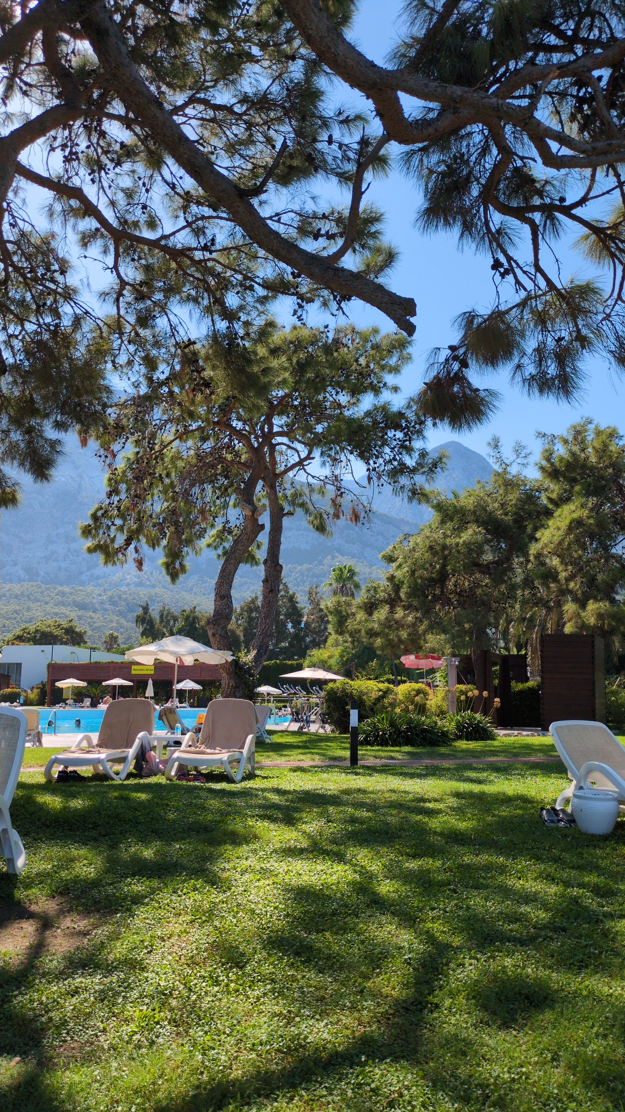 里克萨斯贝尔迪比 TUI 魔法生活酒店 +16-泳池