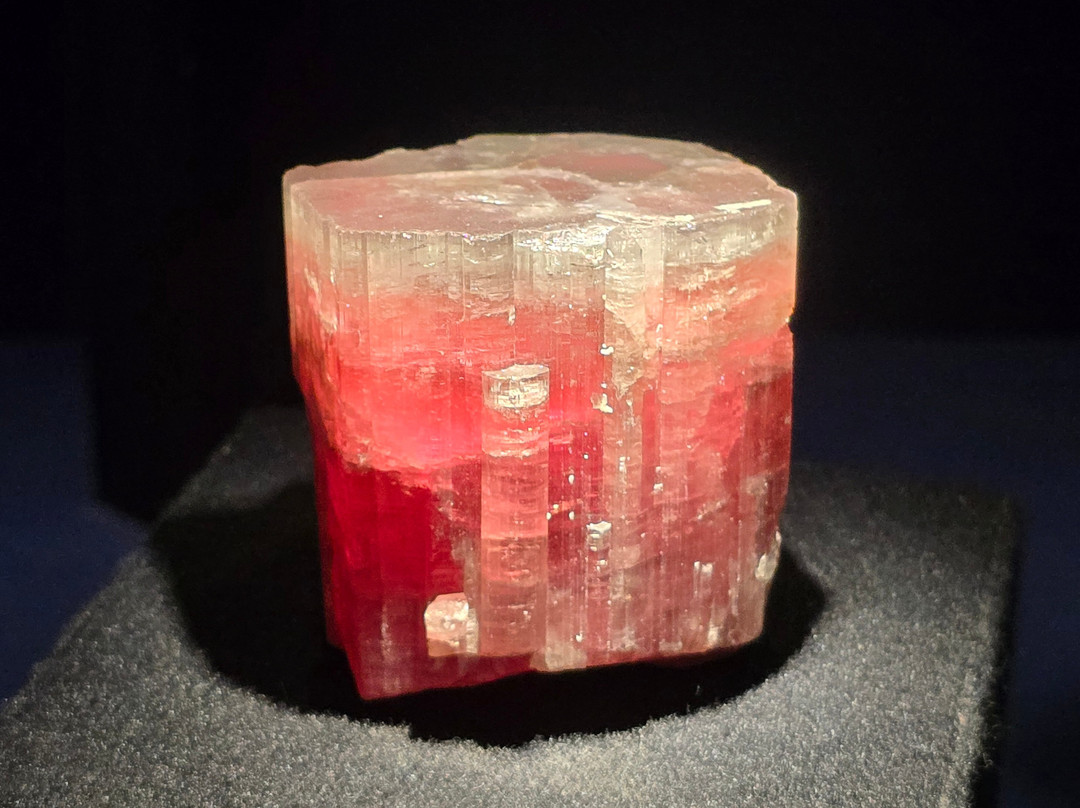 Muséum de Grenoble-格勒诺布尔必去景点