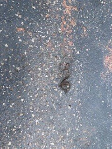 凯艺套房酒店-官方