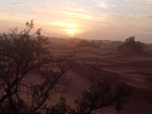 L'Eblouissant Désert