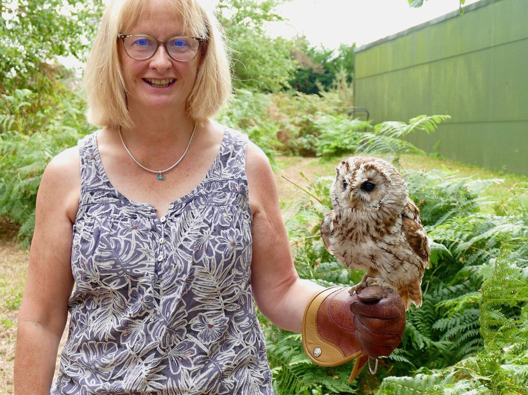 Forest Falconry-Landford必去景点