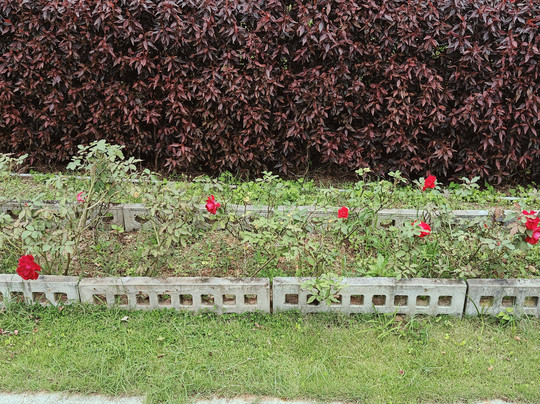 Vintage Trails By Ilara