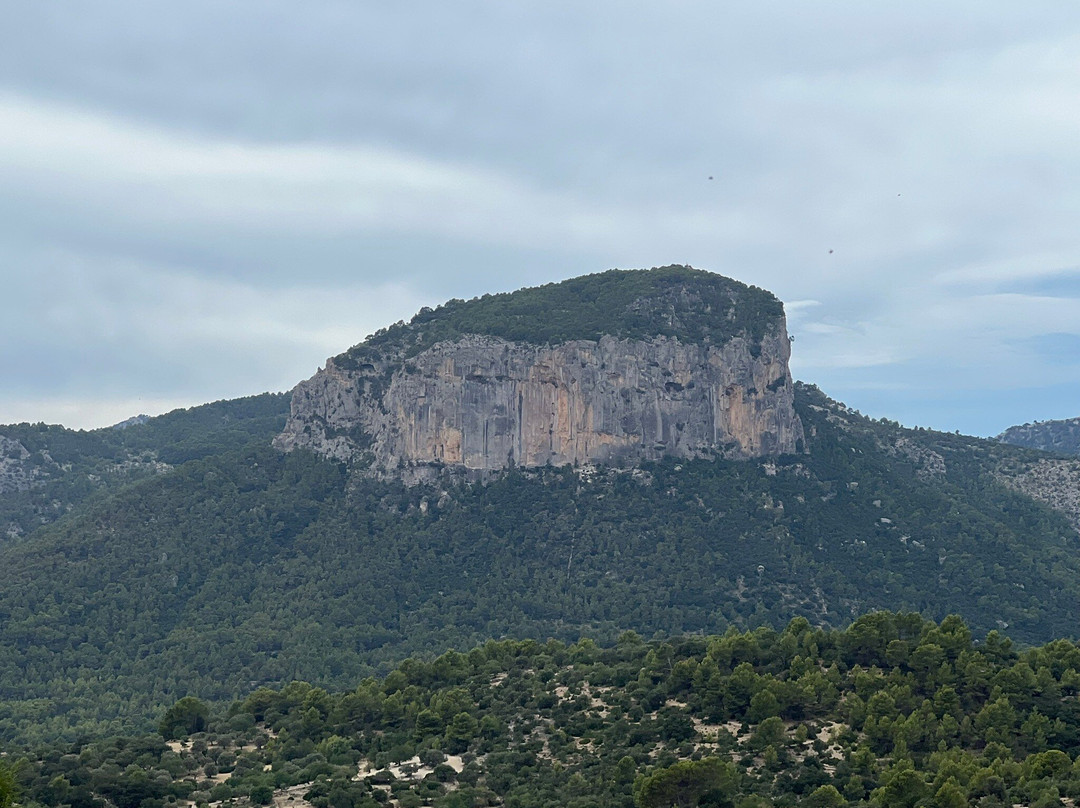 Bodega Castell Miquel-Alaró必去景点