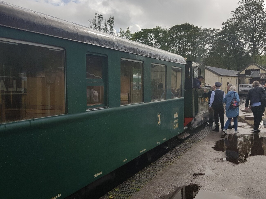 Welshpool and Llanfair Light Railway-Welshpool必去景点