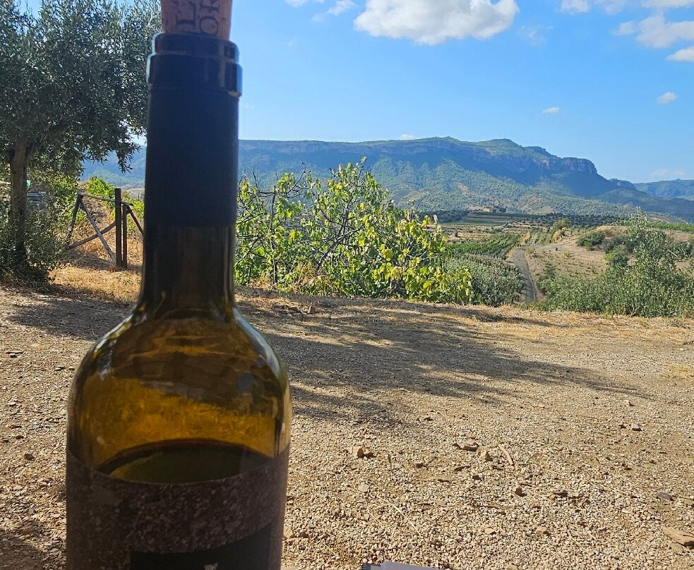 Celler Devinssi-Gratallops必去景点