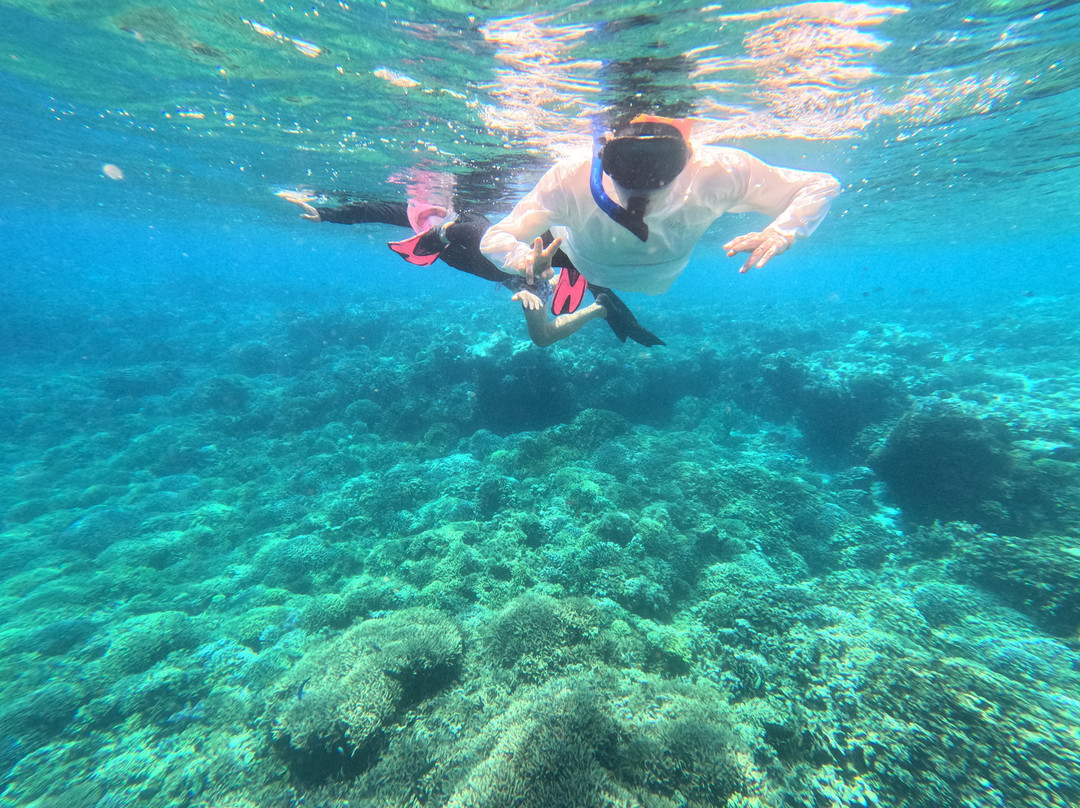 Snorkeling Menjangan-佩母德兰必去景点