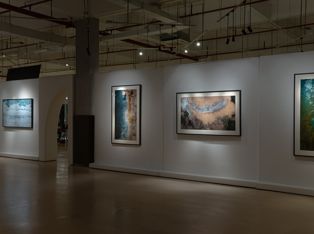 Lotus Gallery-胡志明市必去景点