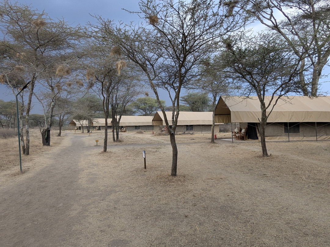 Africa Safari South Serengeti主图