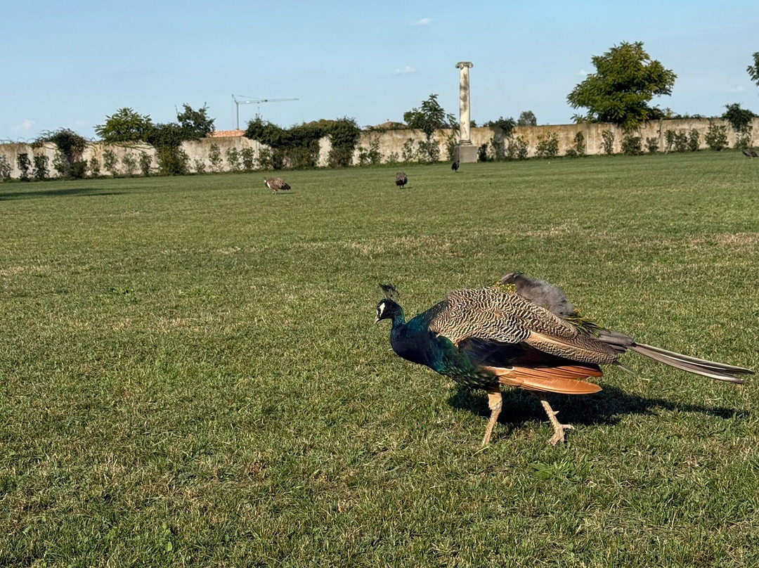 Magnani Rocca Foundation-Mamiano必去景点
