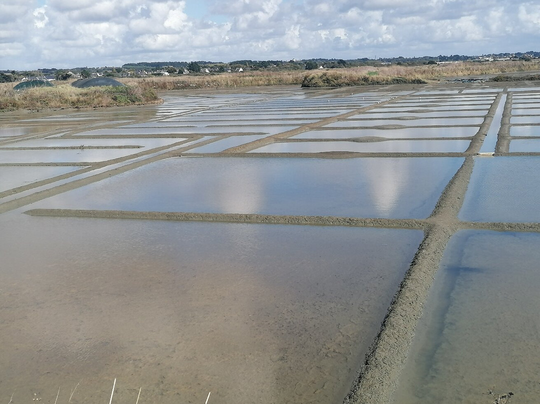 La Maison des Paludiers-Guerande必去景点