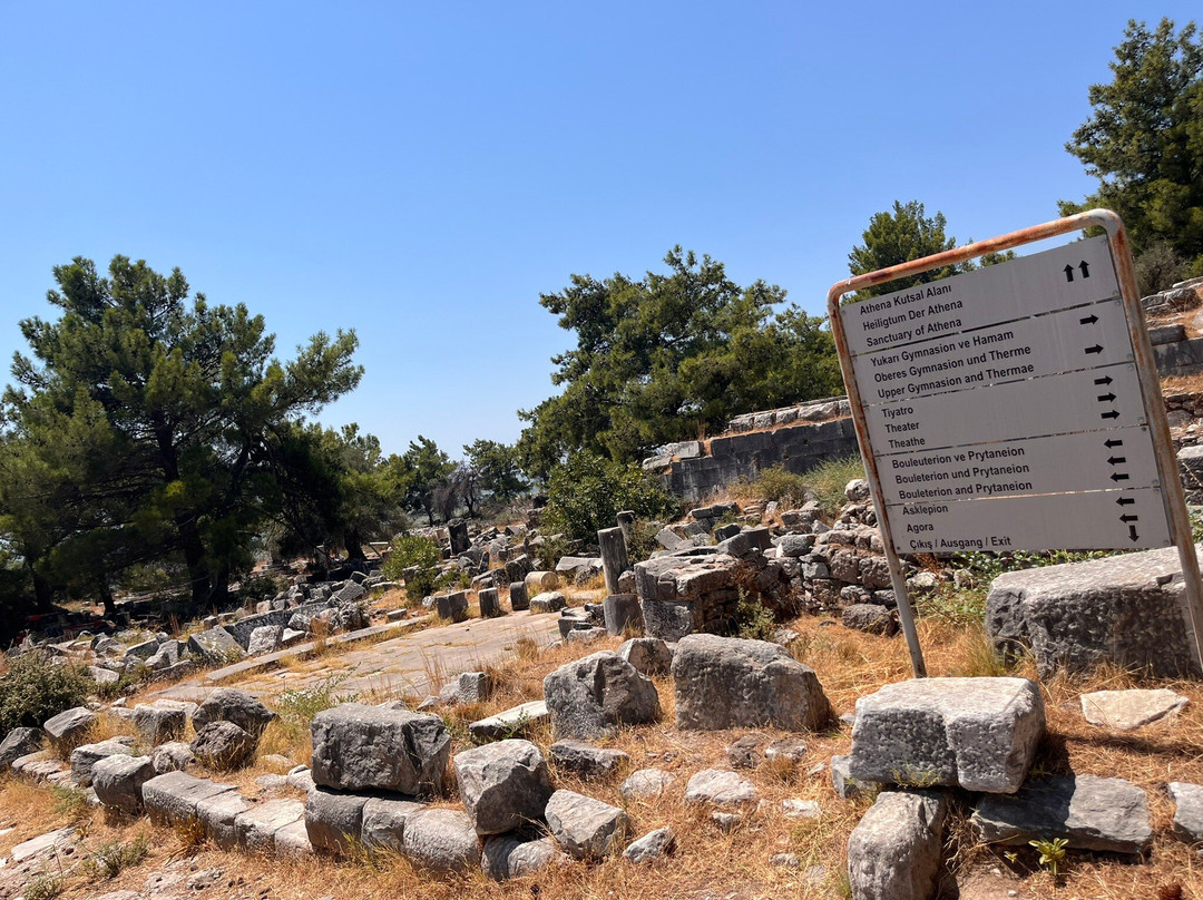 Priene Athena Tapınağı-Soke必去景点