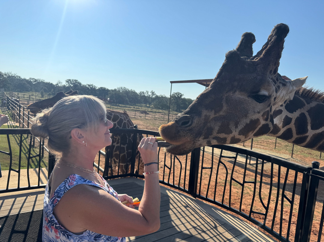 Longneck Manor-弗雷德里克斯堡必去景点