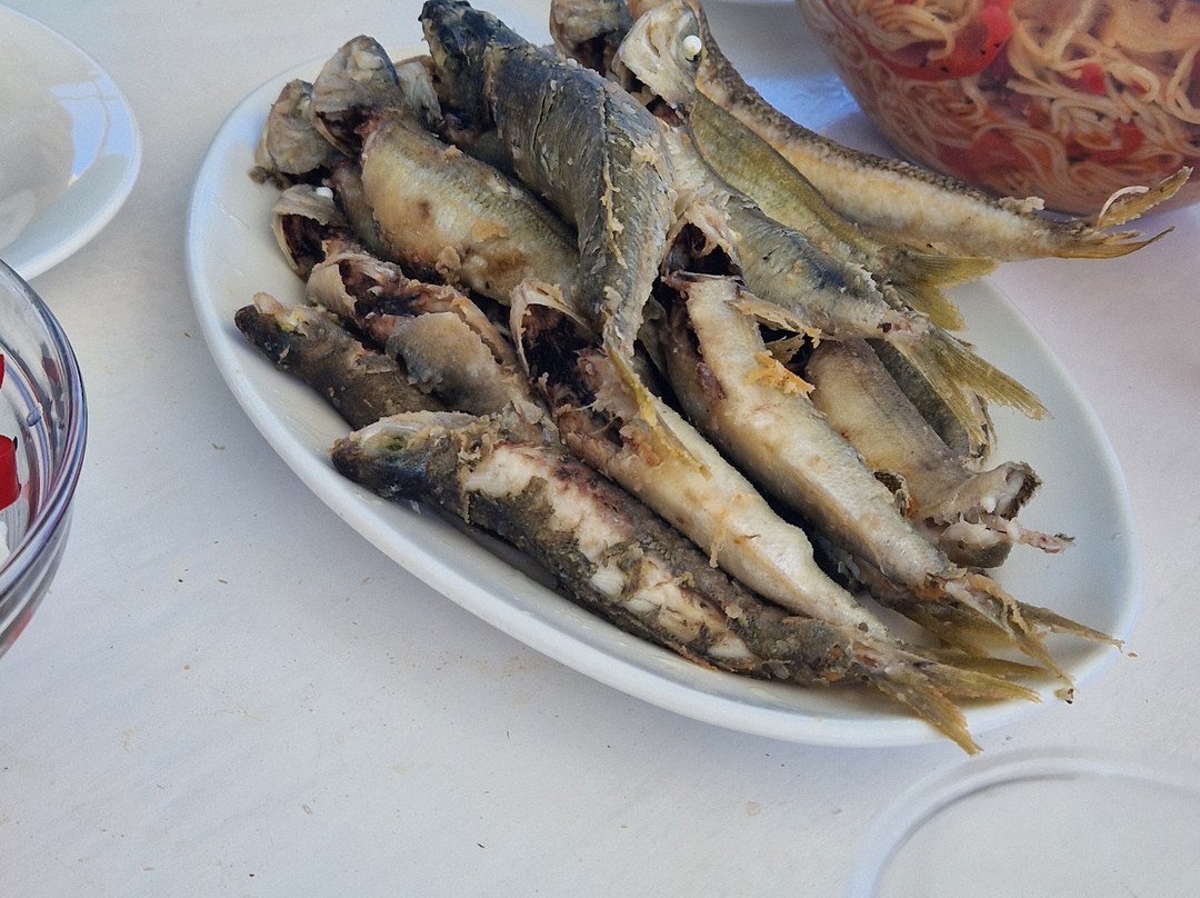 Eva Traditional Fishing Trips-Elounda必去景点