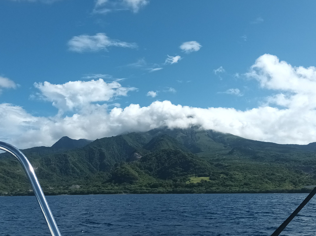 Dauphins Martinique-Trois-Ilets必去景点