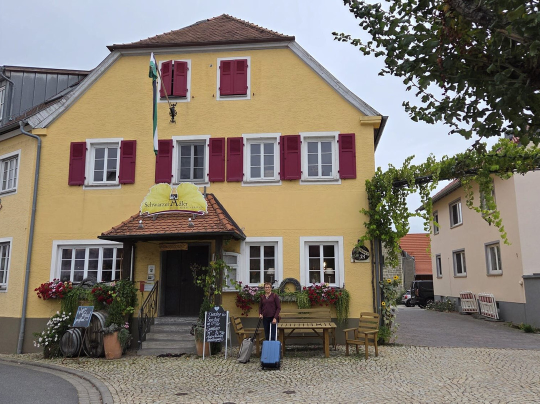 Landhotel Und Weingasthof Schwarzer Adler主图