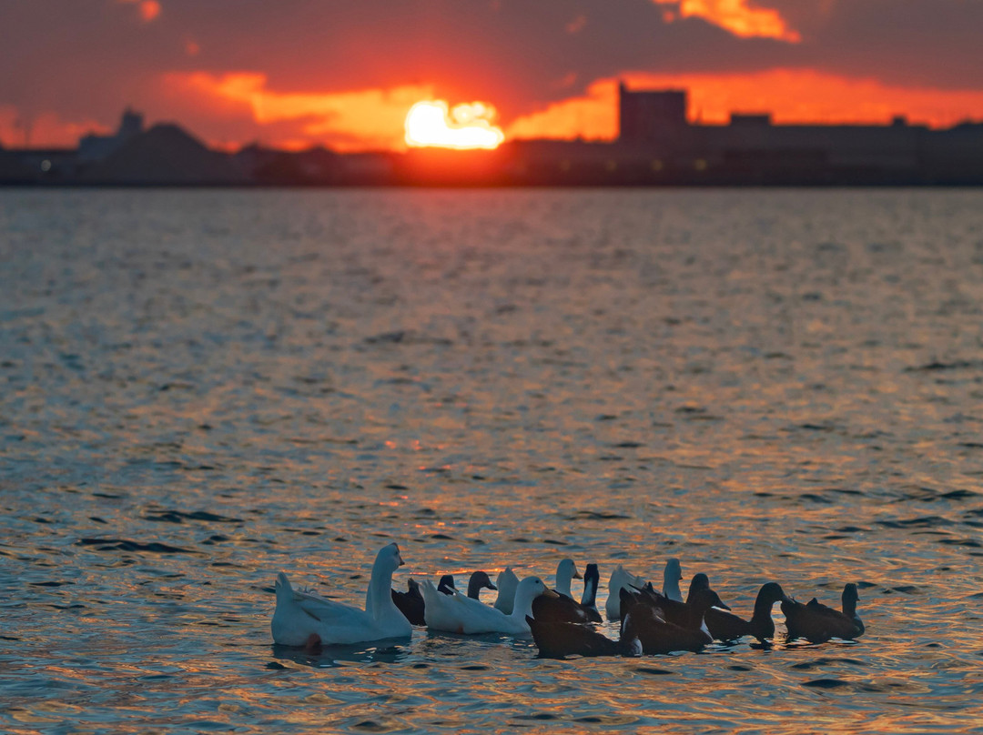Bord Du Lac Park-莱克查尔斯必去景点