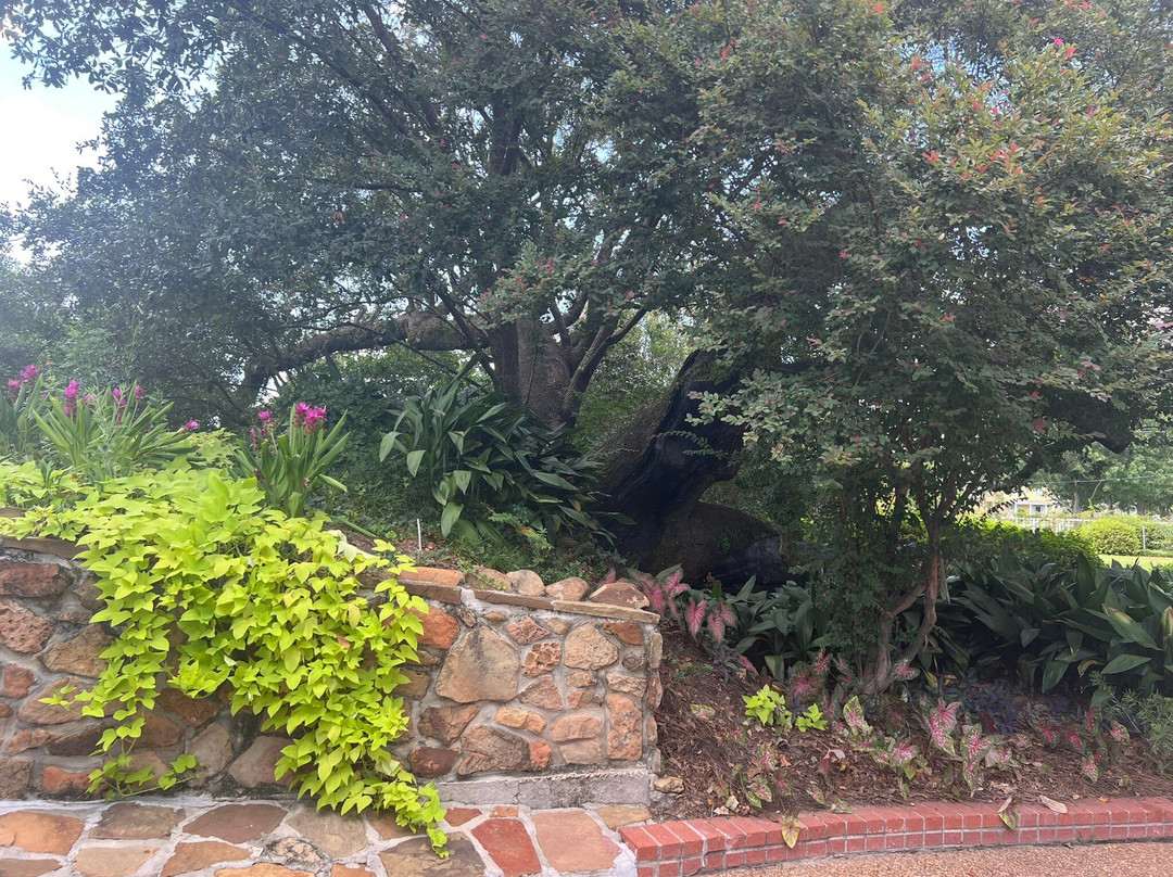 McFaddin-Ward House Museum-博蒙特必去景点