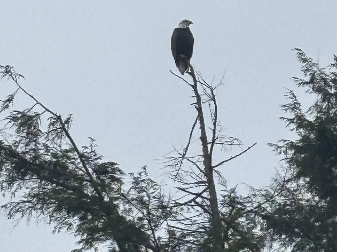 Filingo Fly Fishing-Gouldsboro必去景点