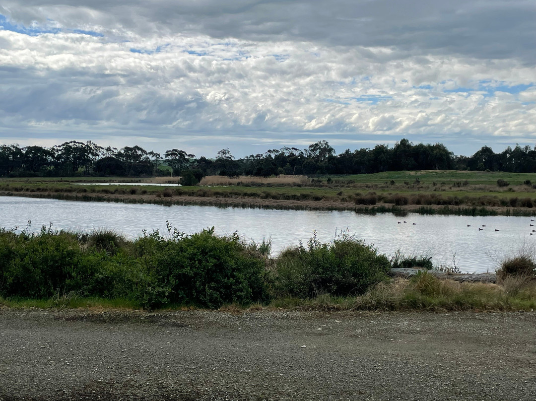 Meeniyan Bird Hide-Meeniyan必去景点