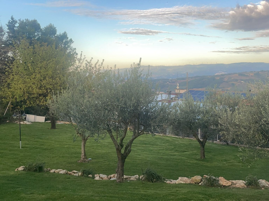 B&B Antica Trattoria Bacco主图