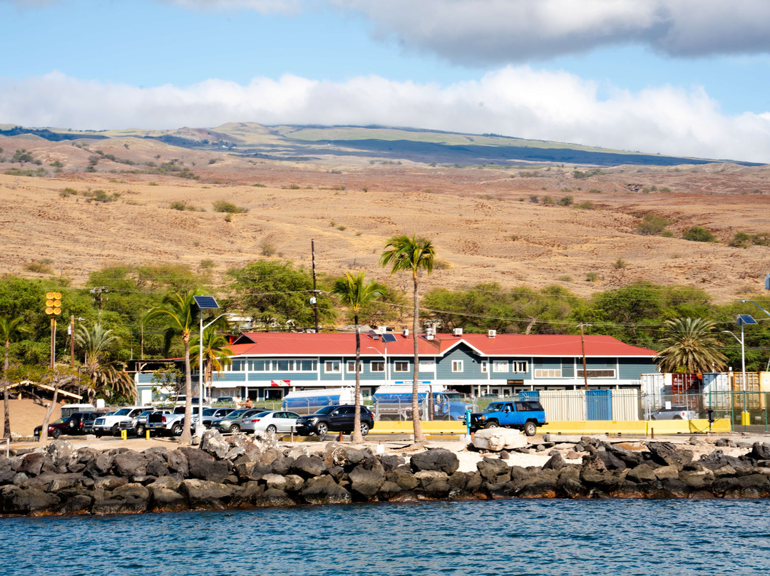 Kohala Divers-卡威哈也必去景点