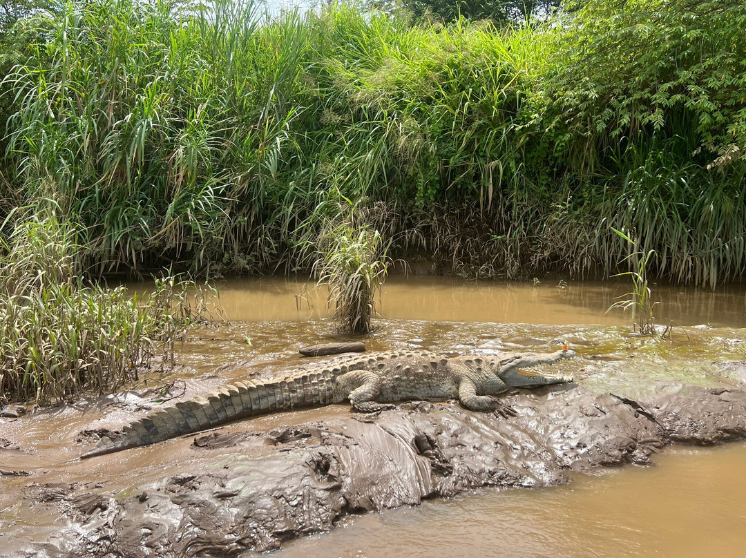 Asuaire Travel-圣何塞必去景点