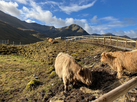 Highlander Private Tours-因弗内斯必去景点