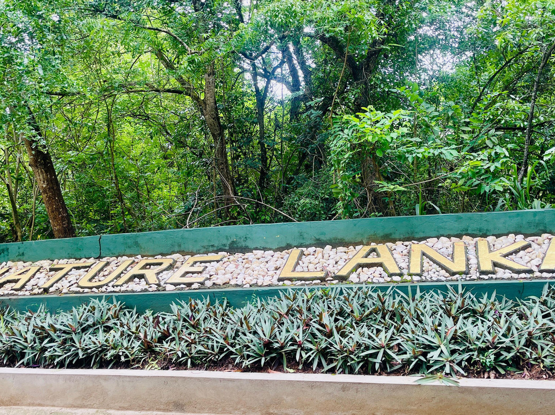 Nature Lanka Ayurveda Health Resort主图