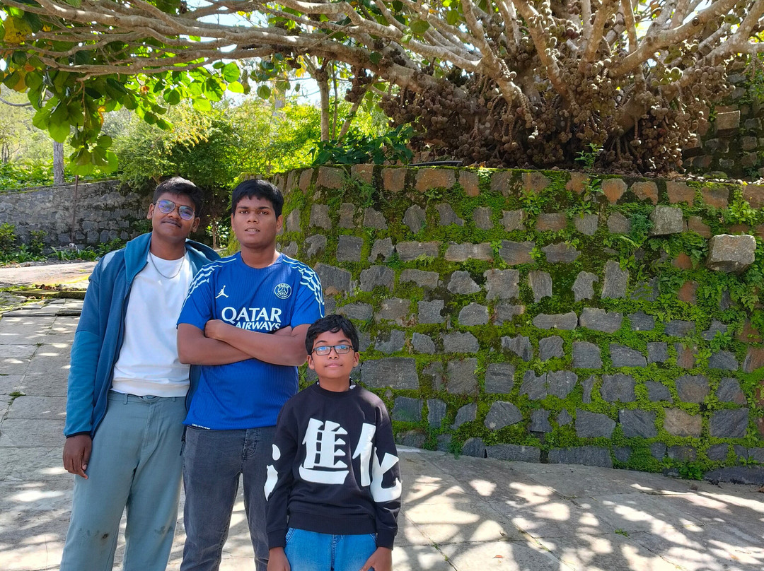 Mango Hill Yercaud主图