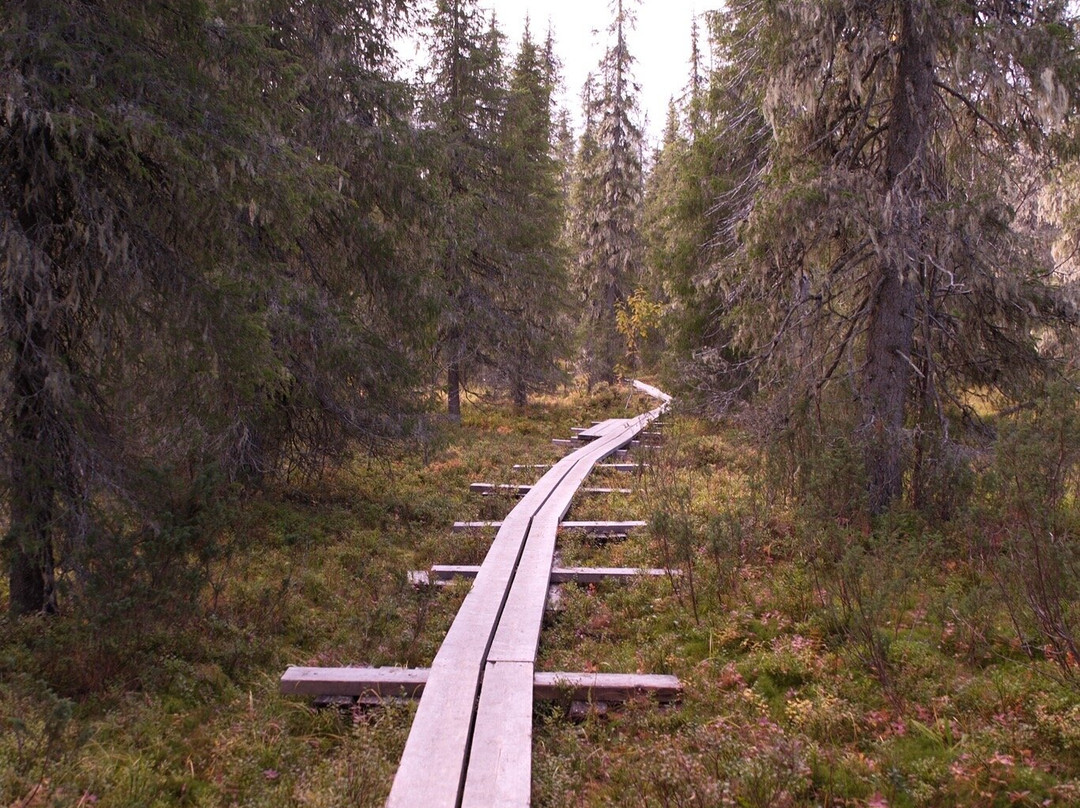 Kivitunturi Hiking Trail-Savukoski必去景点