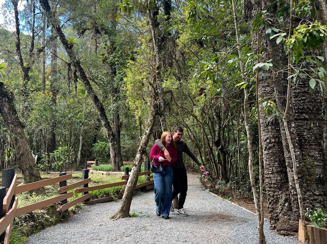 Bosque do Silêncio-坎普斯－杜若尔当必去景点