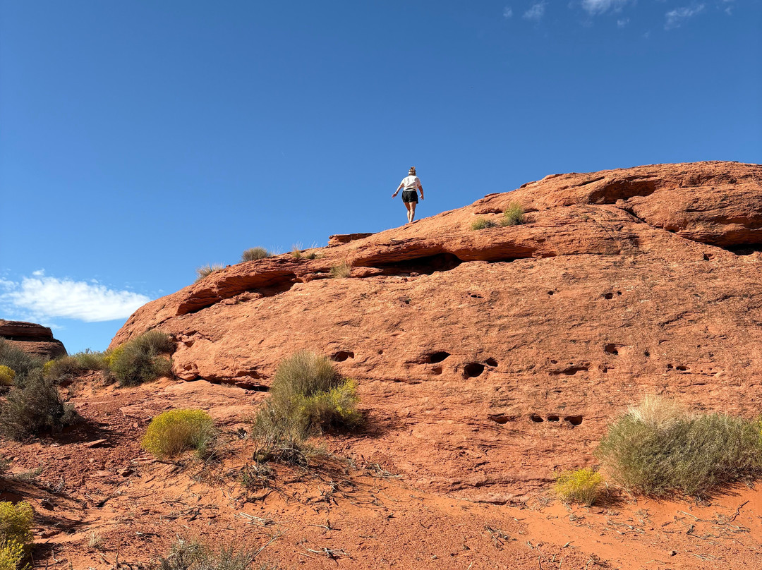 Red Rock Humvee Tours-哈里肯必去景点