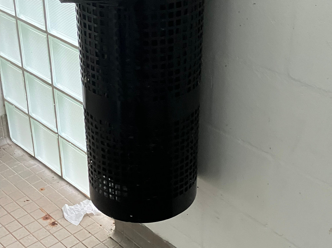 Largo Central Park Nature Preserve-拉哥必去景点