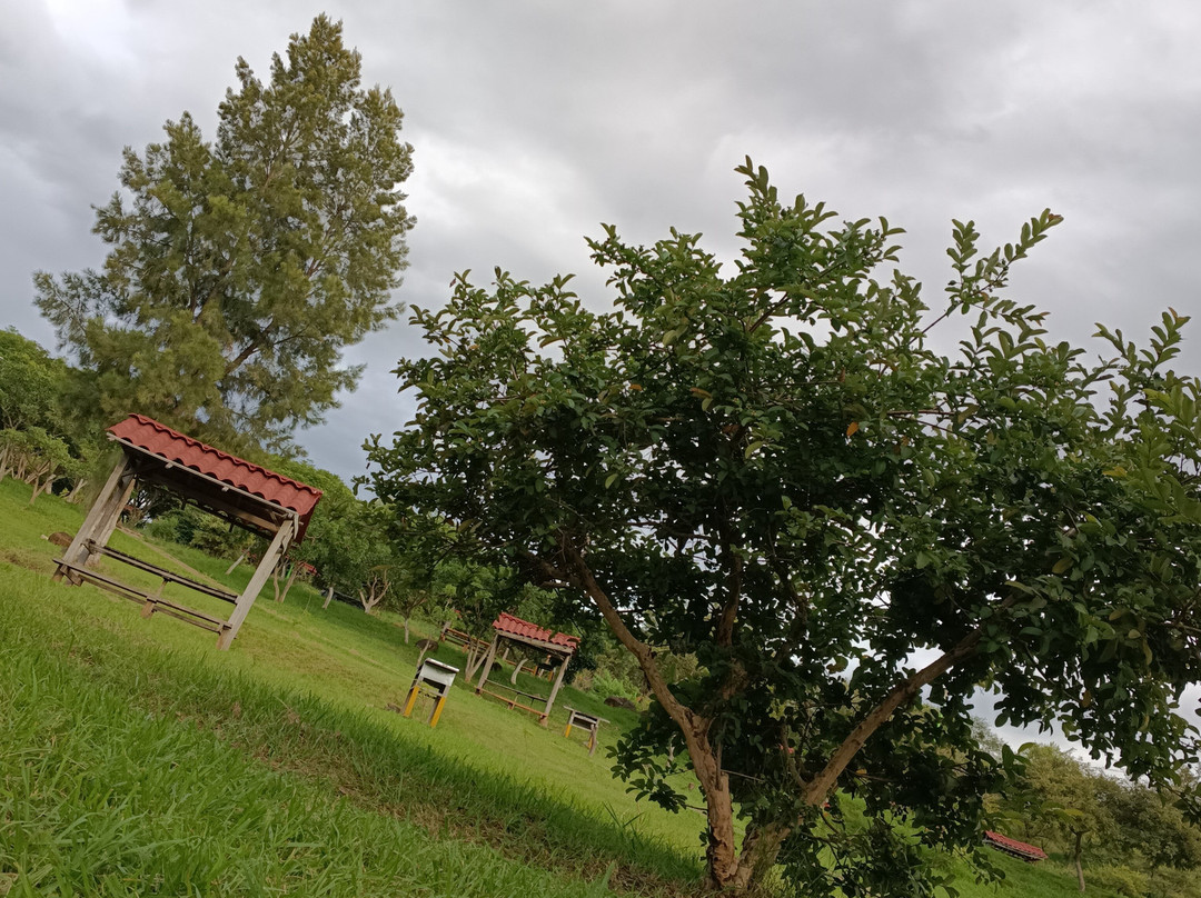Parque Bicentenario Puente de Calderon-Zapotlanejo必去景点