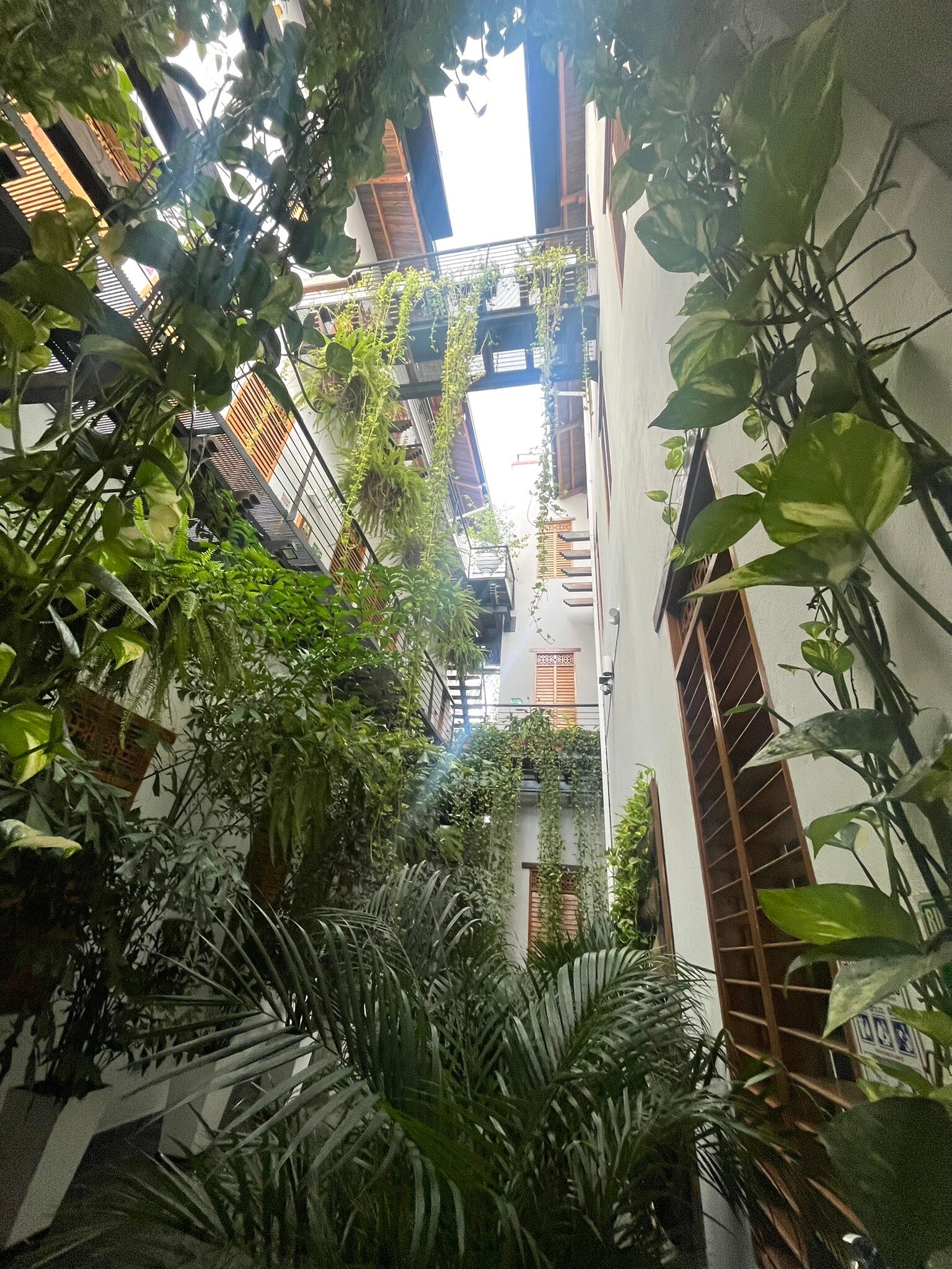 Casa de Leda - a Kali Hotel-官方