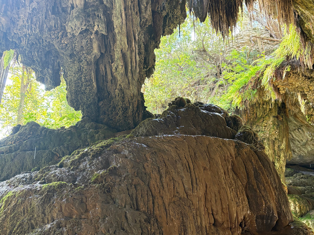 Westcave Outdoor Discovery Center-奥斯丁必去景点