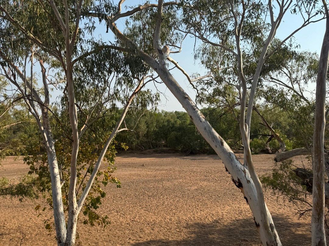 Mary Pool-霍尔斯克里克必去景点