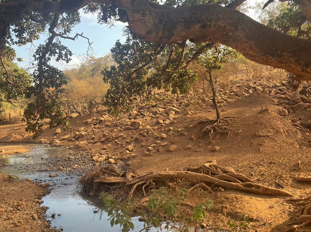 Active Tanzania Adventures-阿鲁沙必去景点